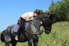 Small_thumb_im_g_0005__394_